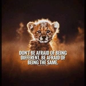 Meet your Posher, Swahili